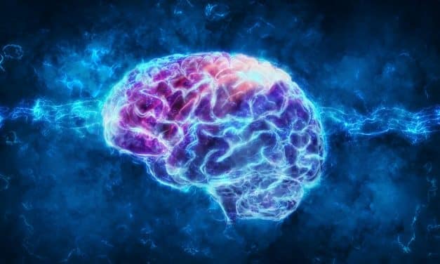 Fonctionnement du CBD dans le cerveau : comment ça se passe au juste ?