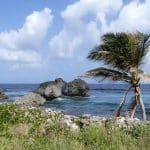 Que peut-on découvrir lors d'un voyage dans les îles Saint-Vincent-et-les-Grenadines ?