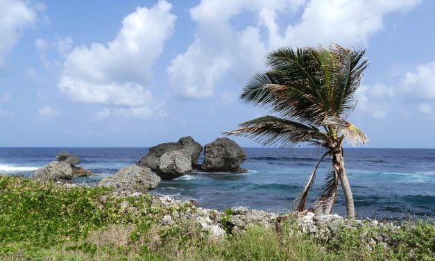 Que peut-on découvrir lors d’un voyage dans les îles Saint-Vincent-et-les-Grenadines ?
