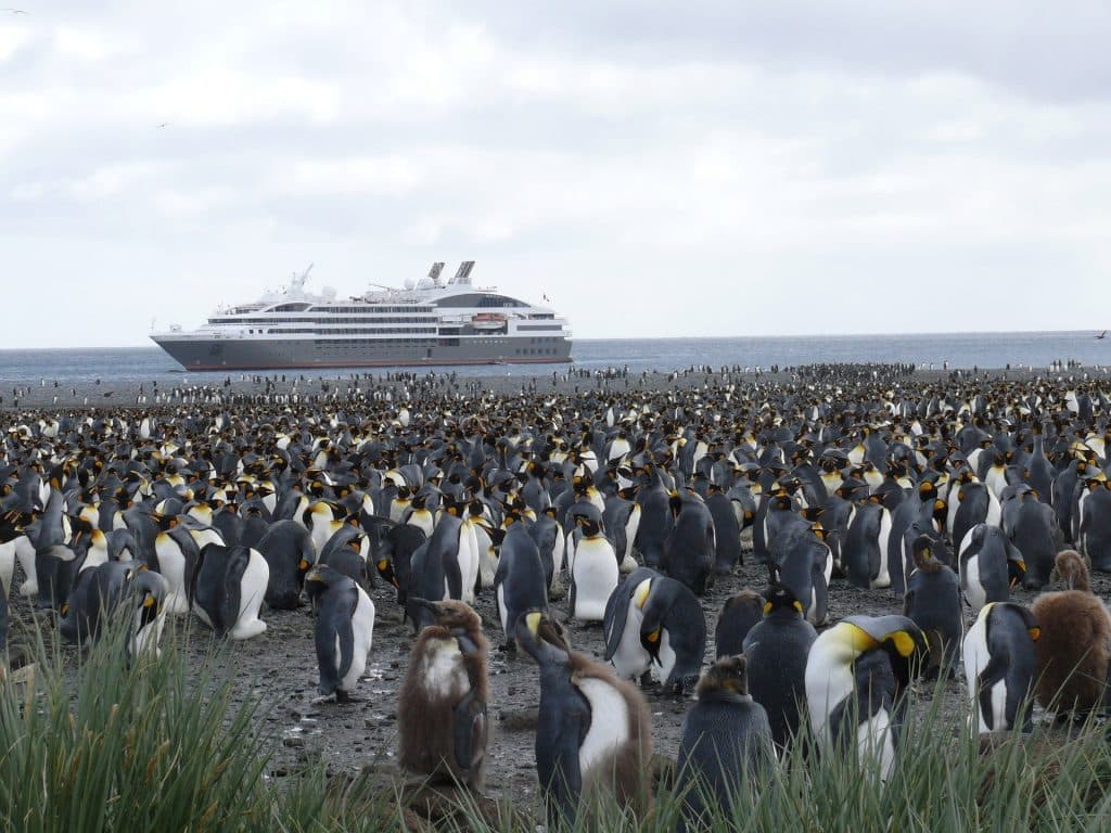 Voyage spectaculaire en Antarctique