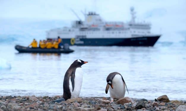 Les avis sur une croisière en antarctique : le bon, le moins bon et le mauvais