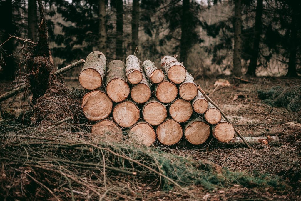 Comment le bois densifié est-il fabriqué ?