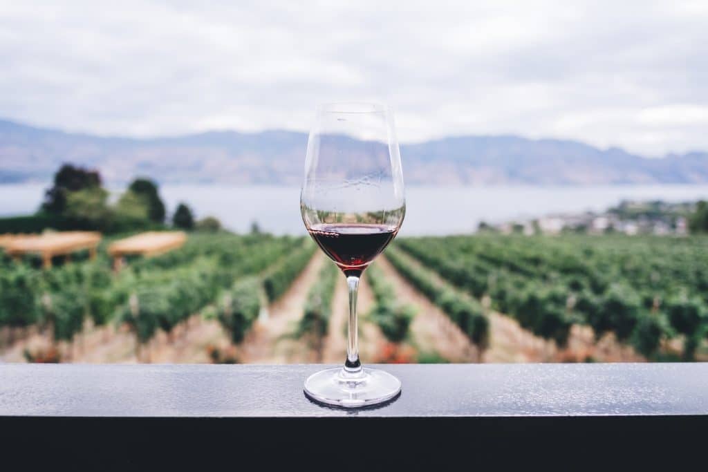 Quels sont les facteurs qui influencent le goût du vin ?