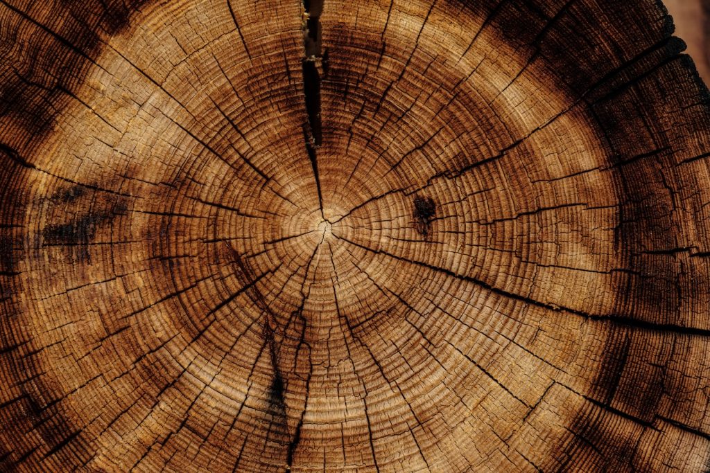 Qu'est-ce que le bois densifié ?