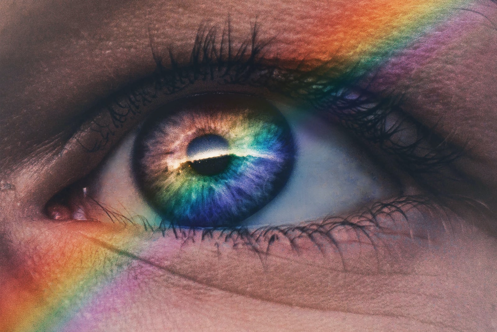 close up photography of rainbow rays on eye