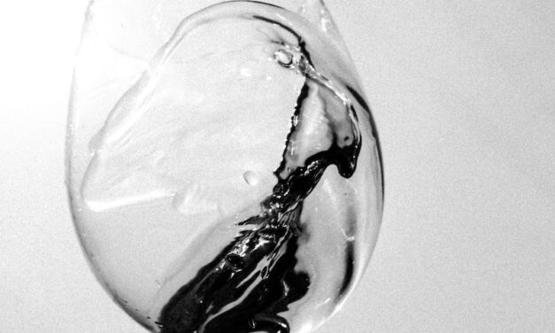 Dégustez les vins blancs de Bordeaux : Caves d’excellence et savoir-faire