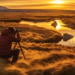 Capturer la beauté sauvage : Conseils photo animaux en Islande