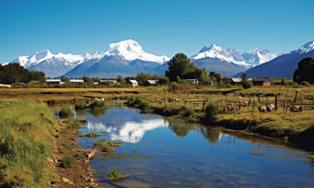 Comment préserver la biodiversité de la Patagonie ?