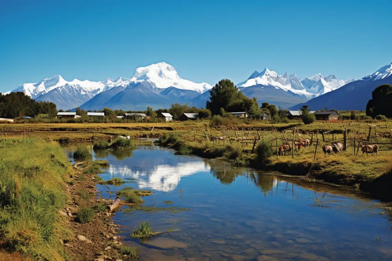 Comment préserver la biodiversité de la Patagonie ?